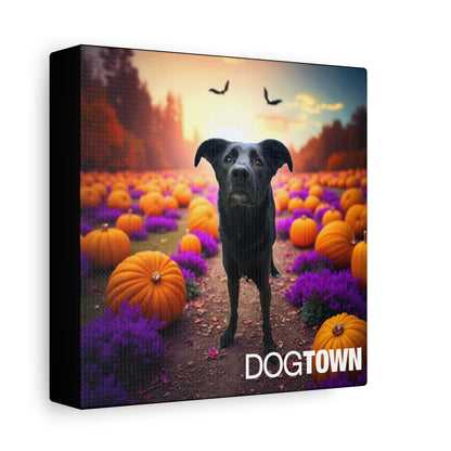 Bodhi - Halloween Canvas
