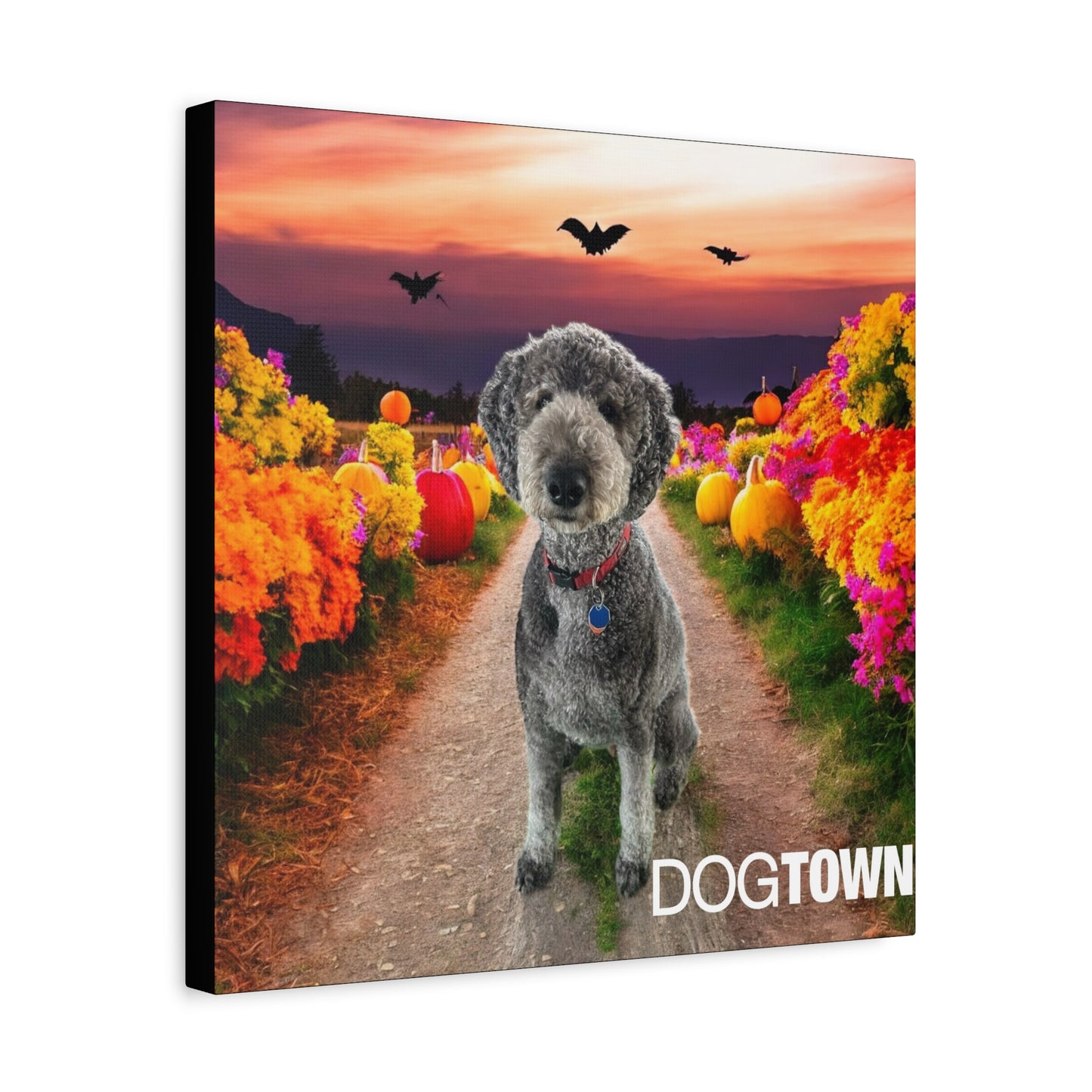 Oz - Halloween Canvas