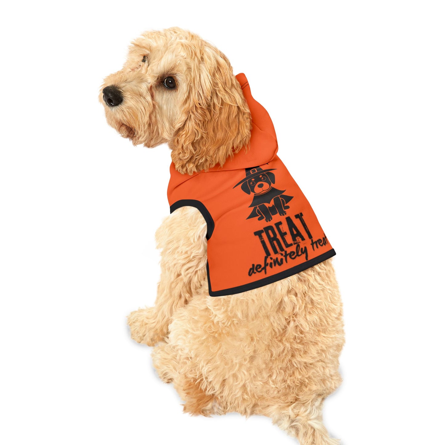 Halloween Pet Hoodie "Treat, Definitely Treat"