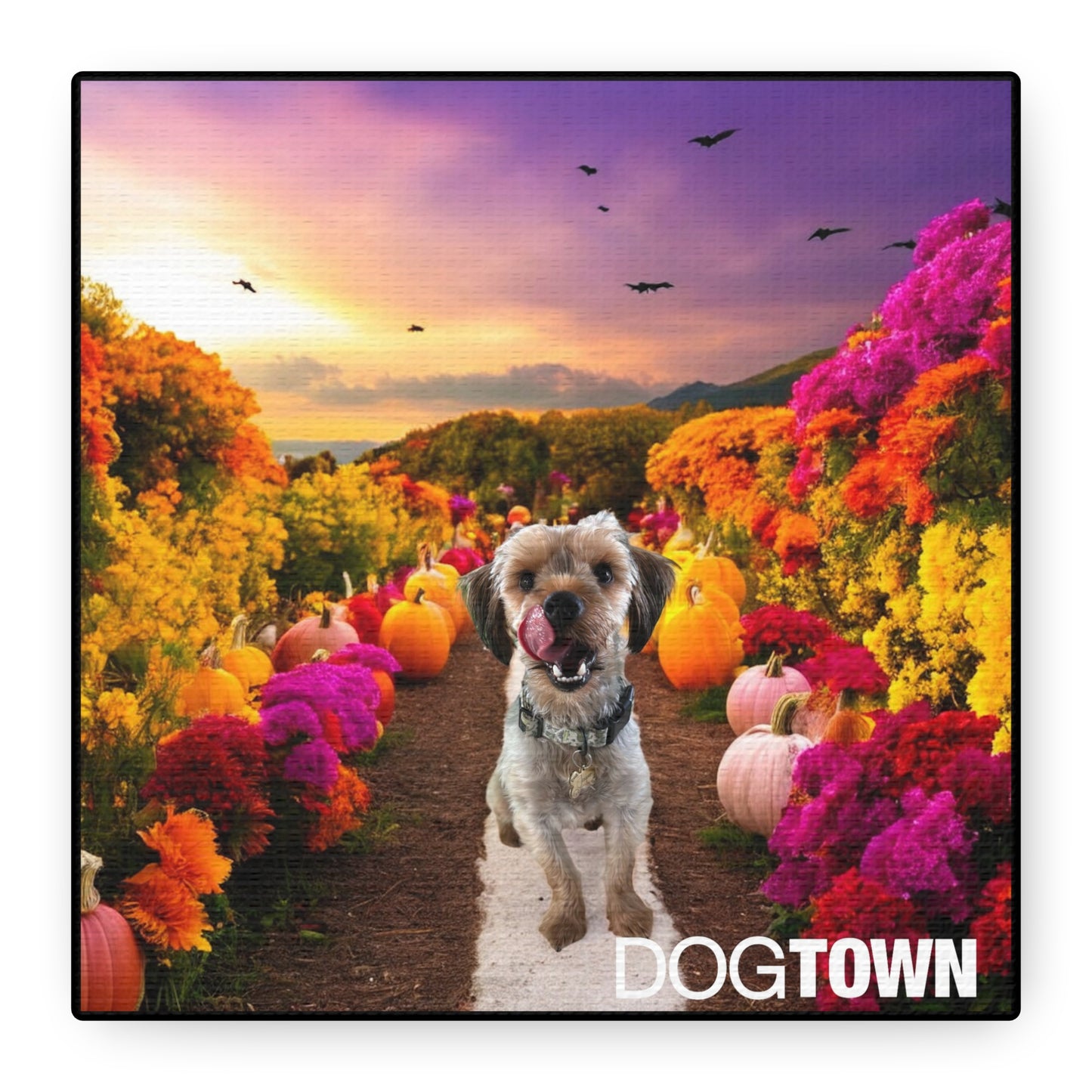 Jasper - Halloween Canvas