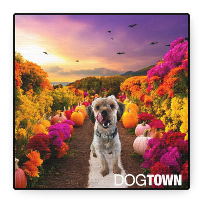 Jasper - Halloween Canvas