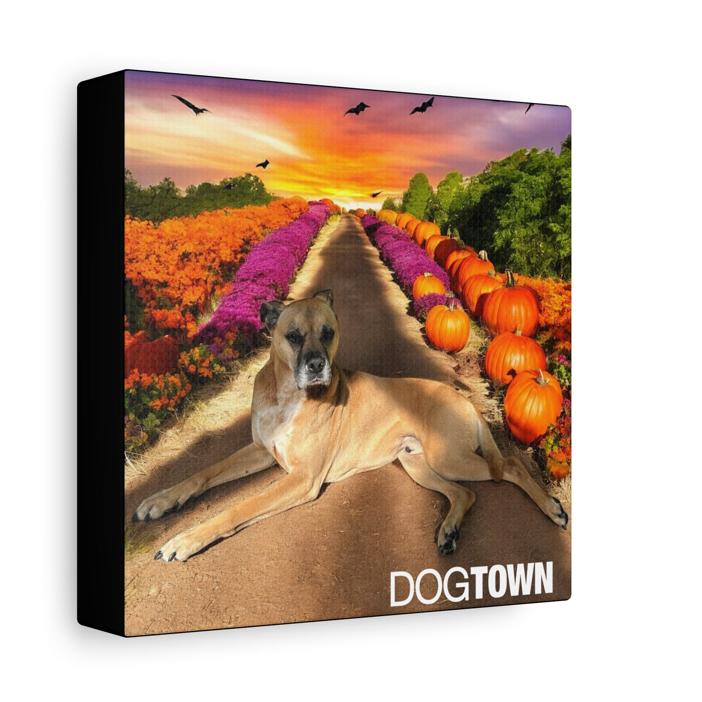 Cooper - Halloween Canvas