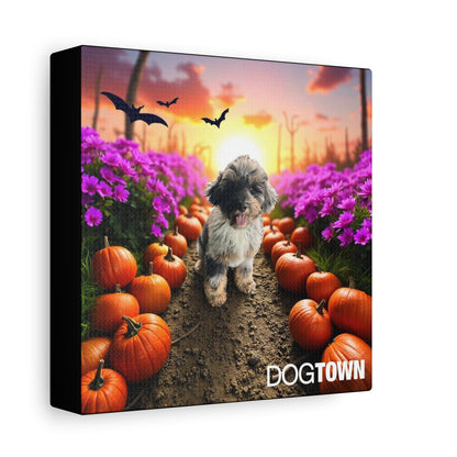 Harry - Halloween Canvas