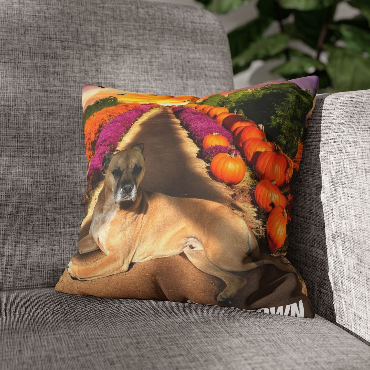 Cooper - Halloween Pillowcase
