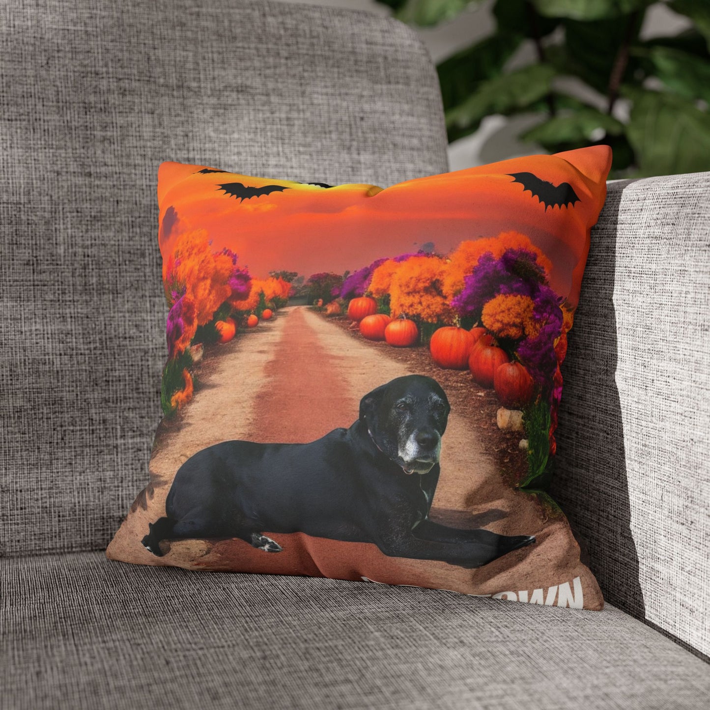 Charlotte - Halloween Pillowcase