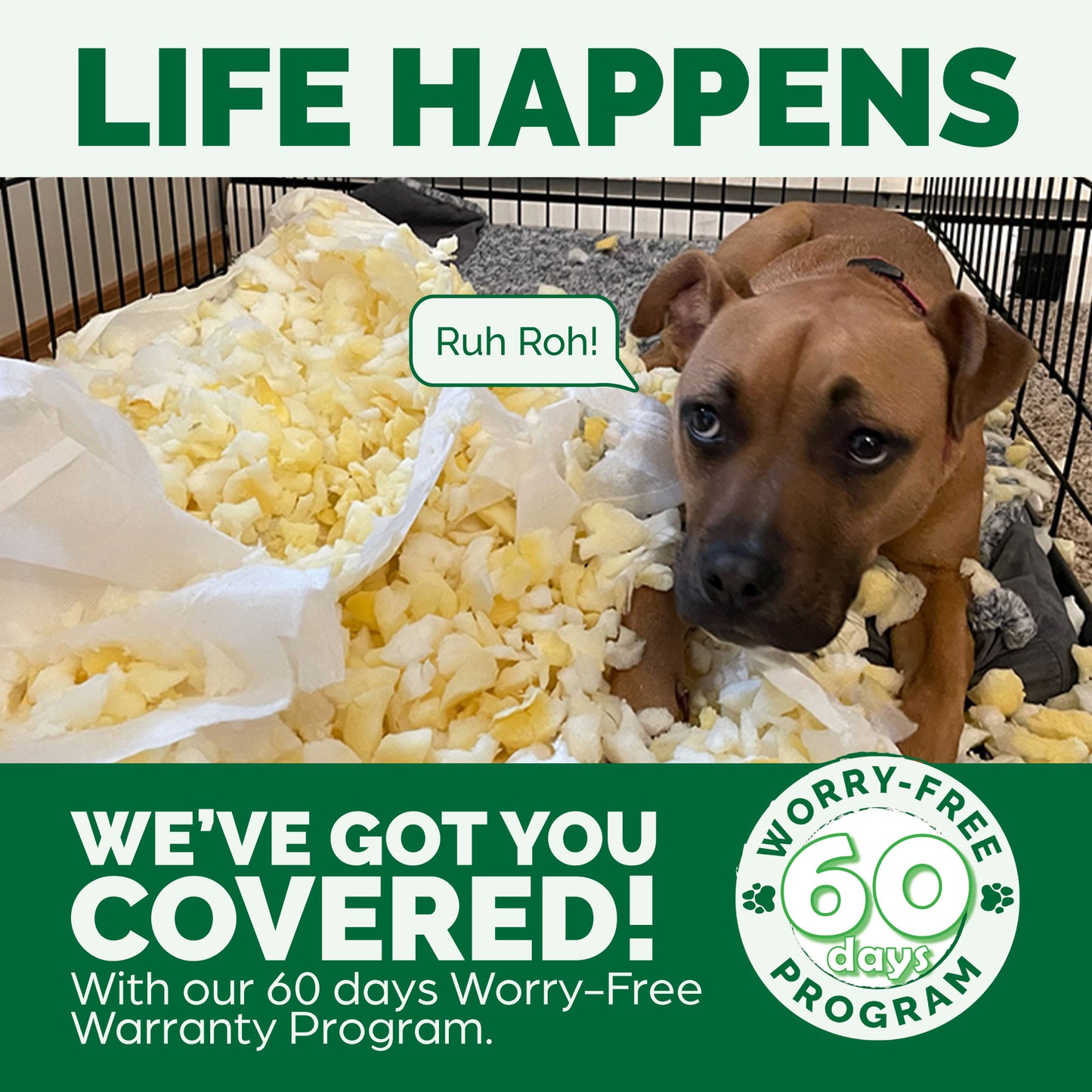 Plush & Suede Orthopedic Sofa Pet Bed for Dogs & Cats - Deep Pool, Medium