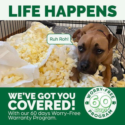 Plush & Suede Orthopedic Sofa Pet Bed for Dogs & Cats - Deep Pool, Medium