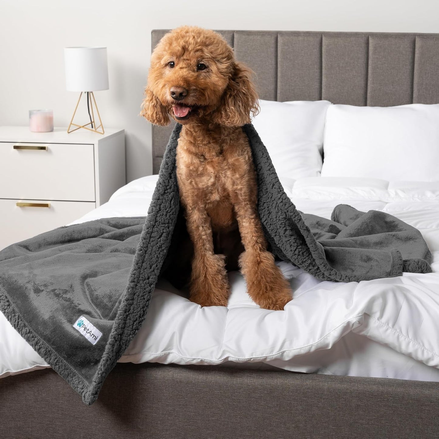 Waterproof Dog XL Blanket 90X90 