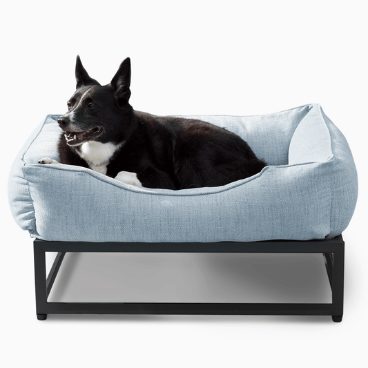 The FÜZI Dog Bed