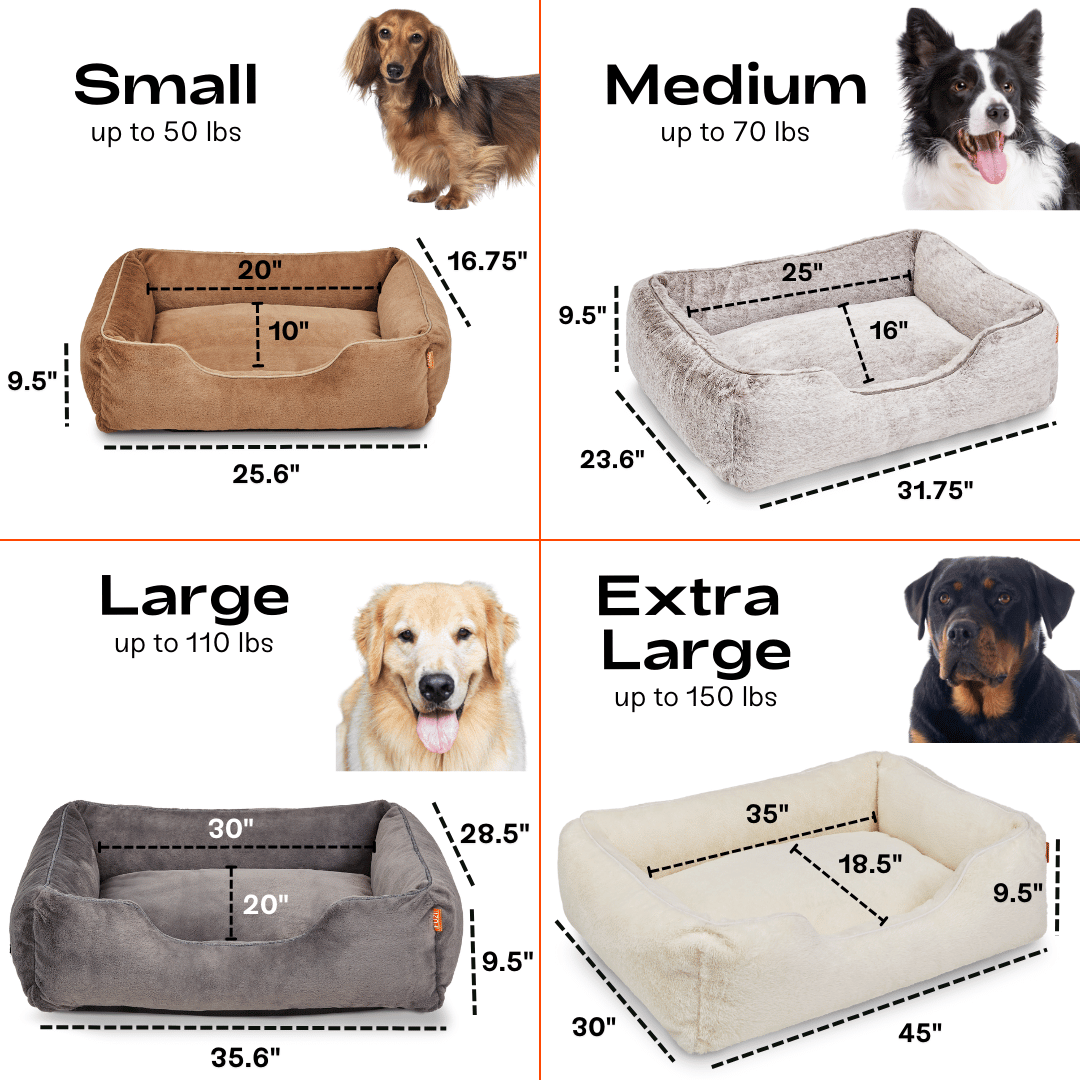The Sammy Dog  Bed
