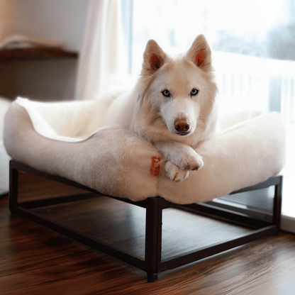 The FÜZI Dog Bed