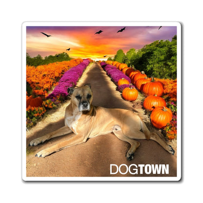 Cooper - 3x3 Halloween Magnet