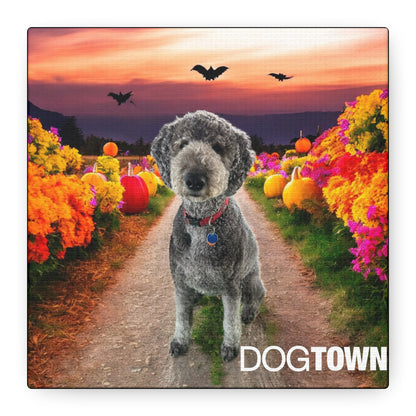 Oz - Halloween Canvas