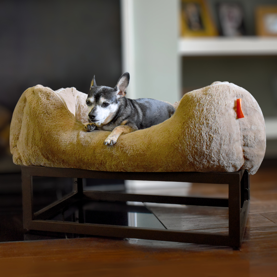 The FÜZI Dog Bed