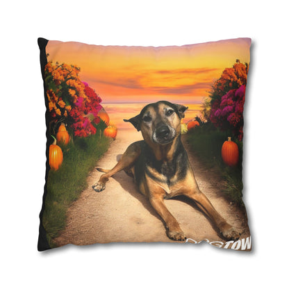 Caius - Halloween Pillowcase