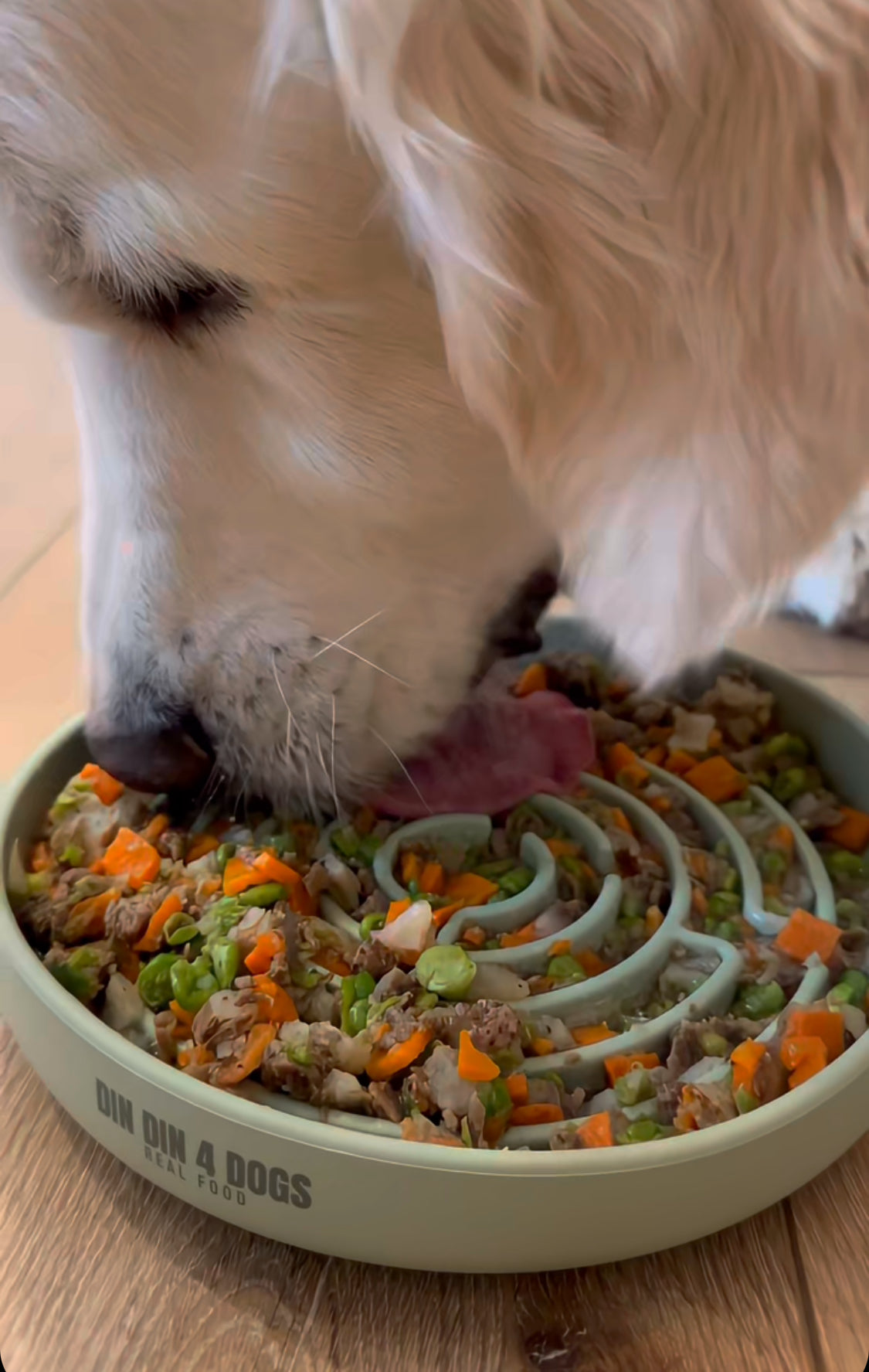 Bountiful Beef - case includes 24, 8oz meals