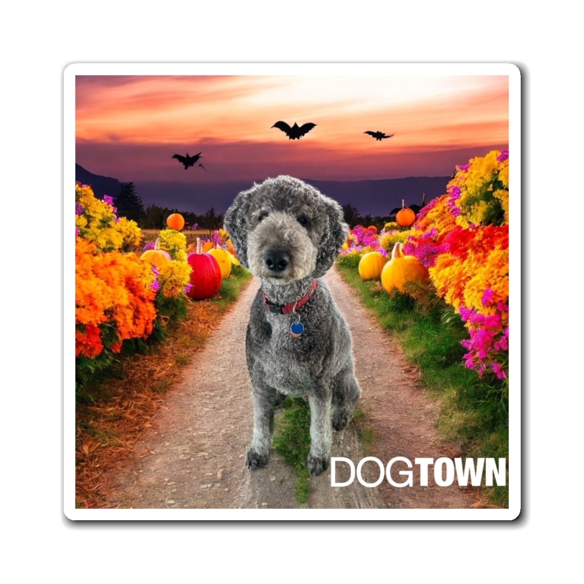 Oz - 3x3 Halloween Magnets