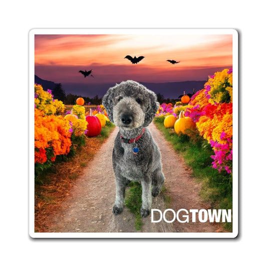 Oz - 3x3 Halloween Magnets