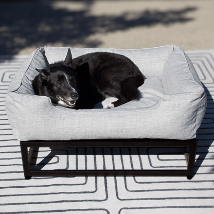 The FÜZI Dog Bed