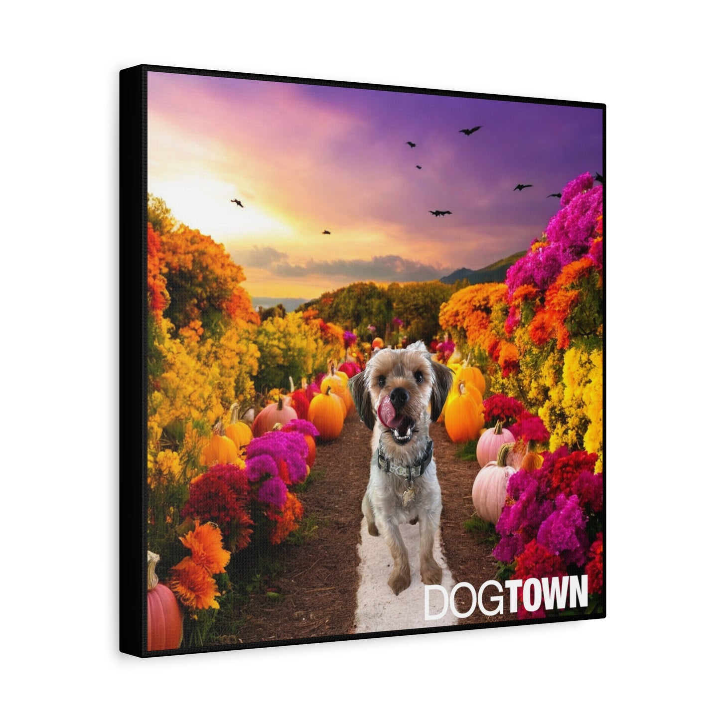 Jasper - Halloween Canvas