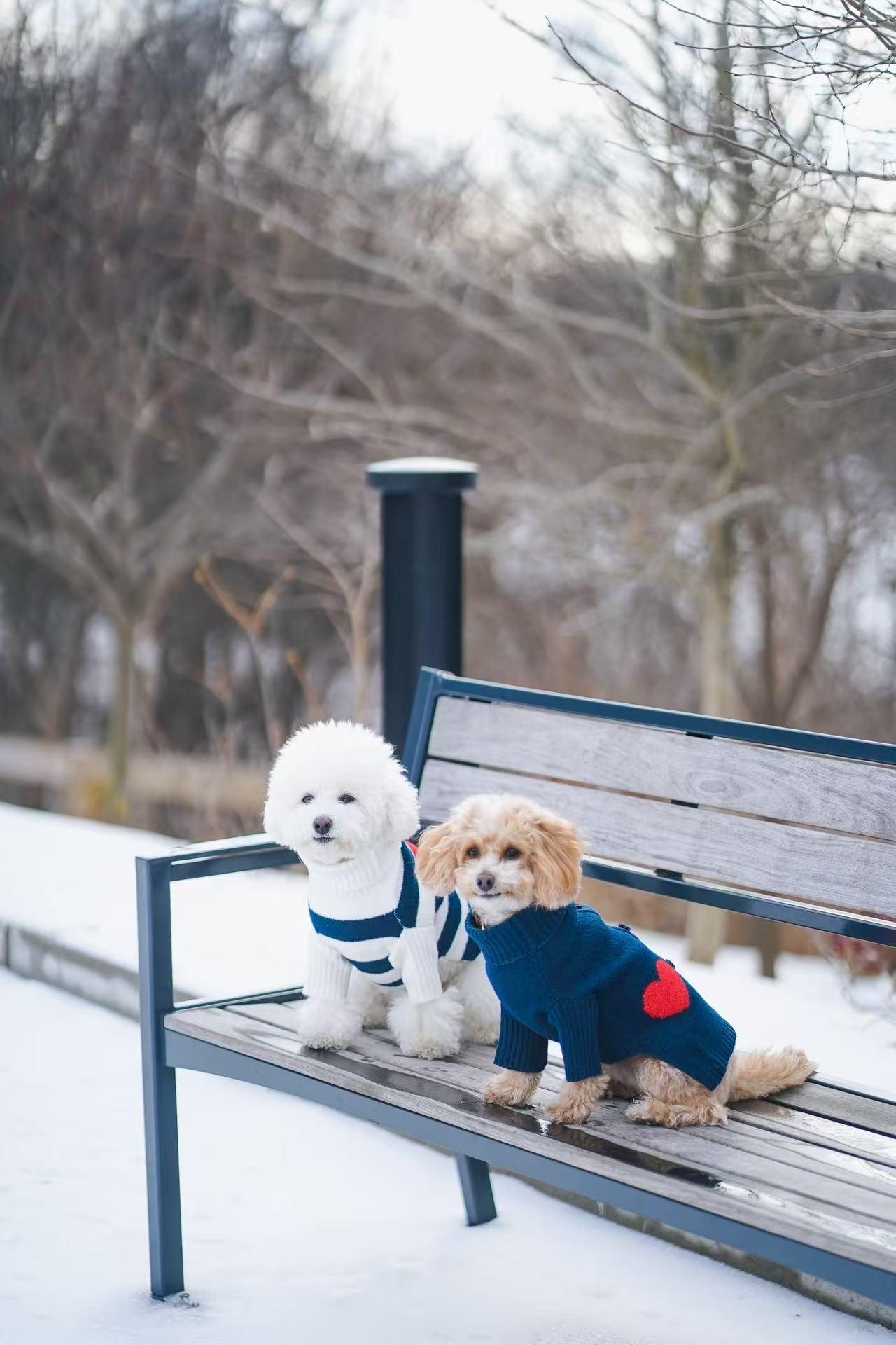 Heart to Heart Button-Up Cardigan Sweater