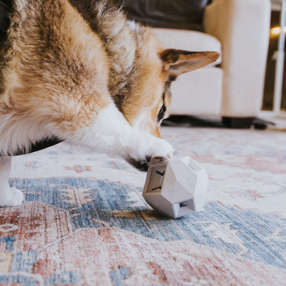 The Odin Treat Dispensing Toy For Dogs