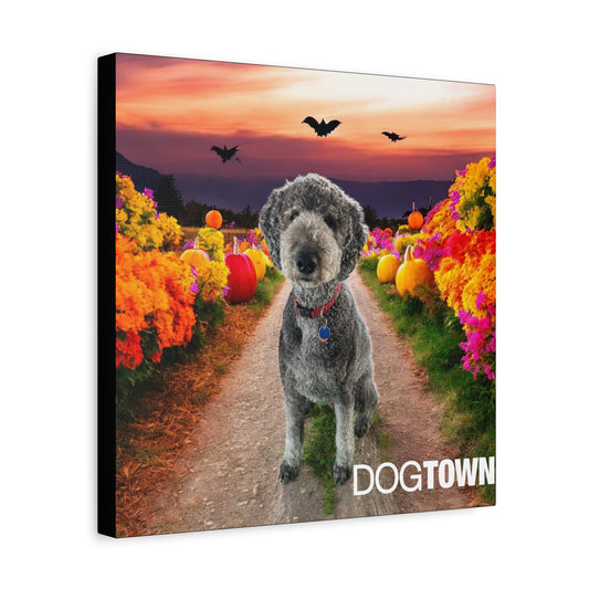 Oz - Halloween Canvas