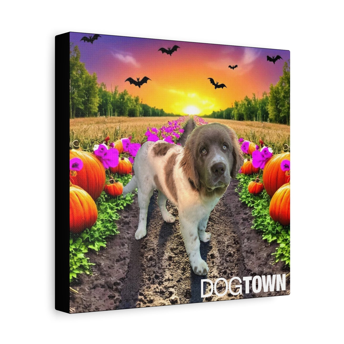 Stella - Halloween Canvas