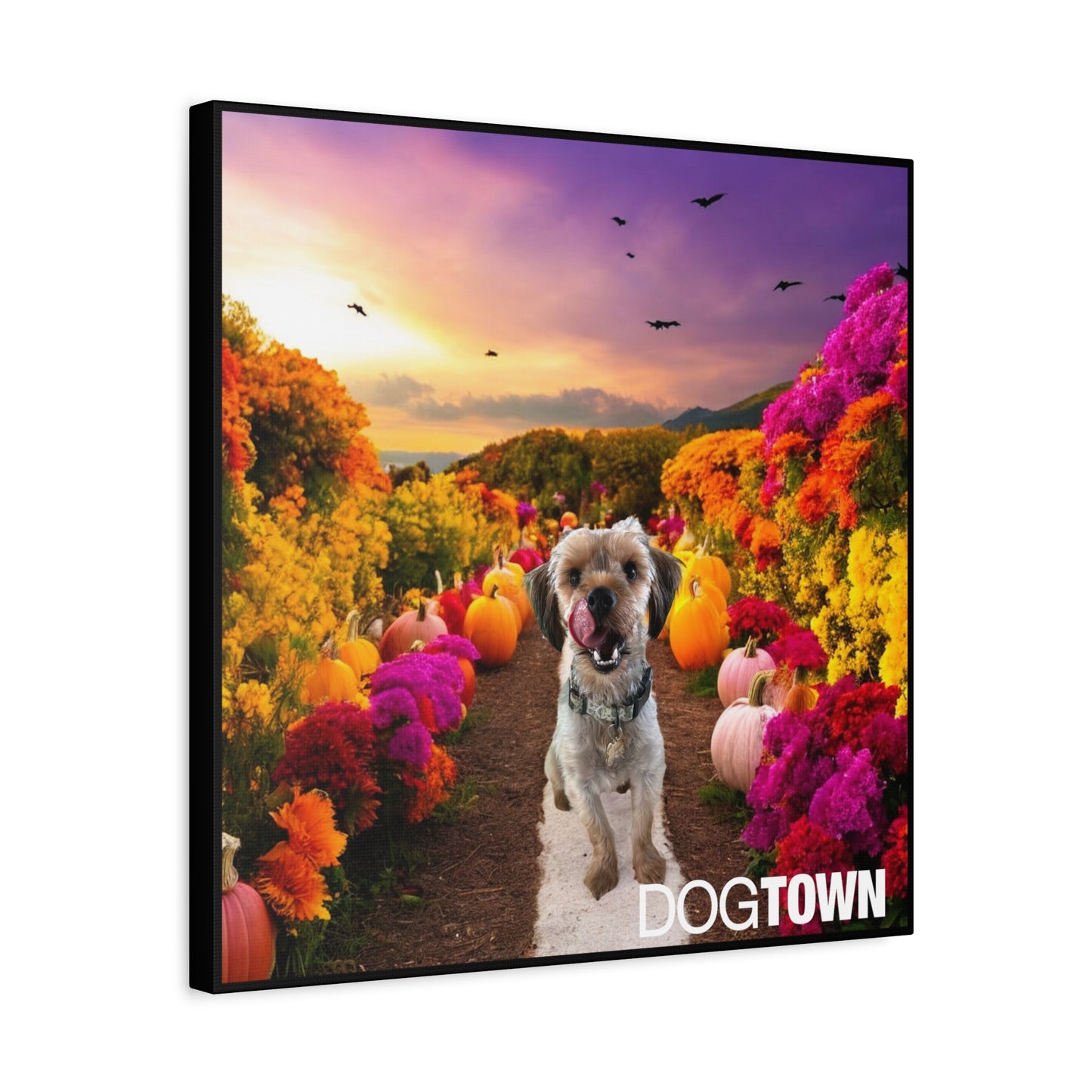 Jasper - Halloween Canvas