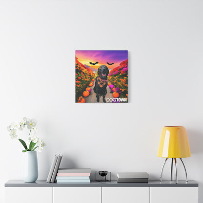 Reilly - Halloween Canvas