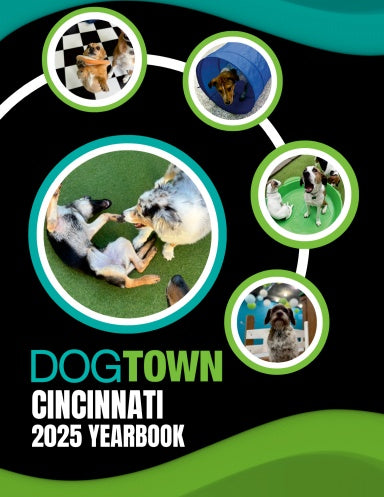 Book Cover Variant Thumbnail