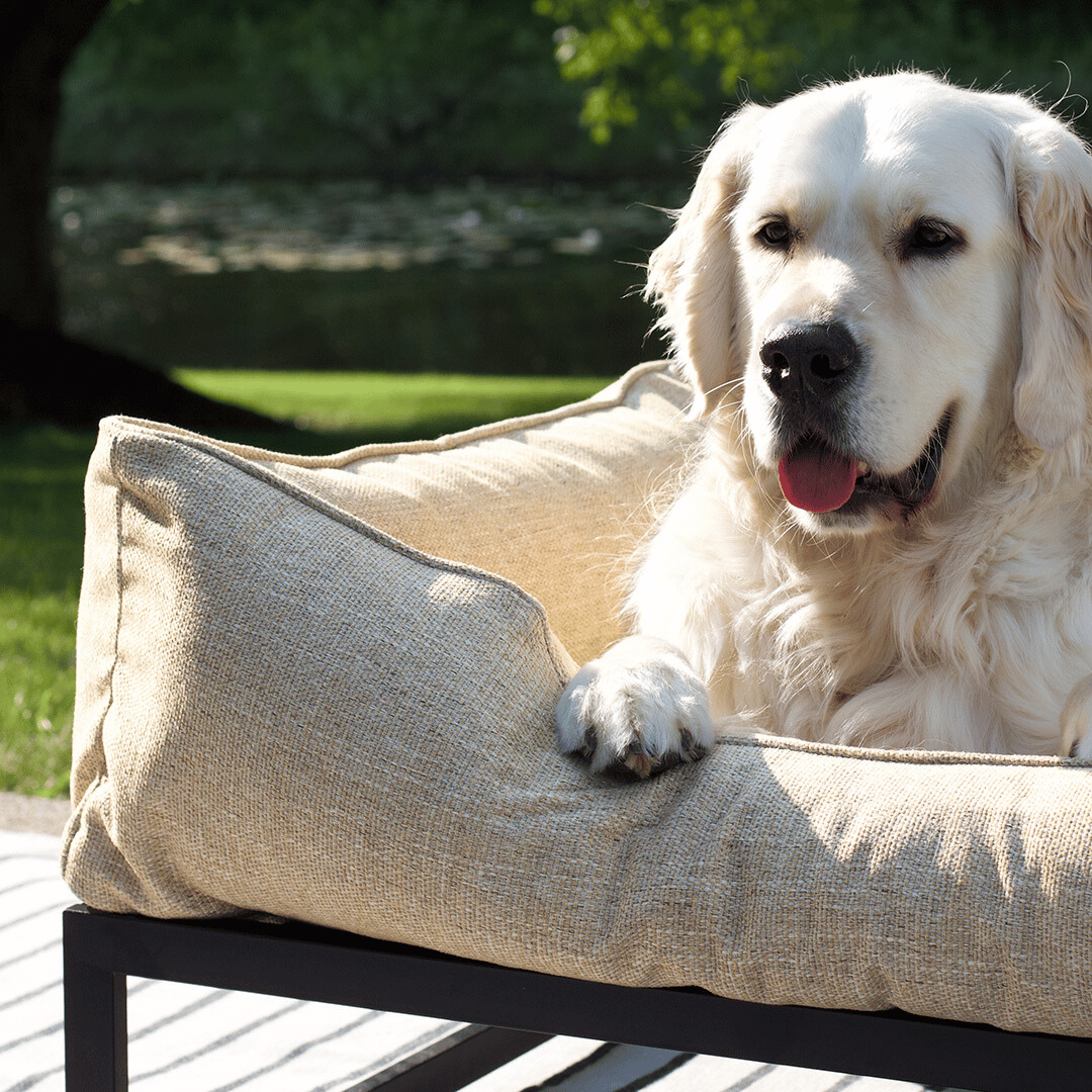 The FÜZI Dog Bed