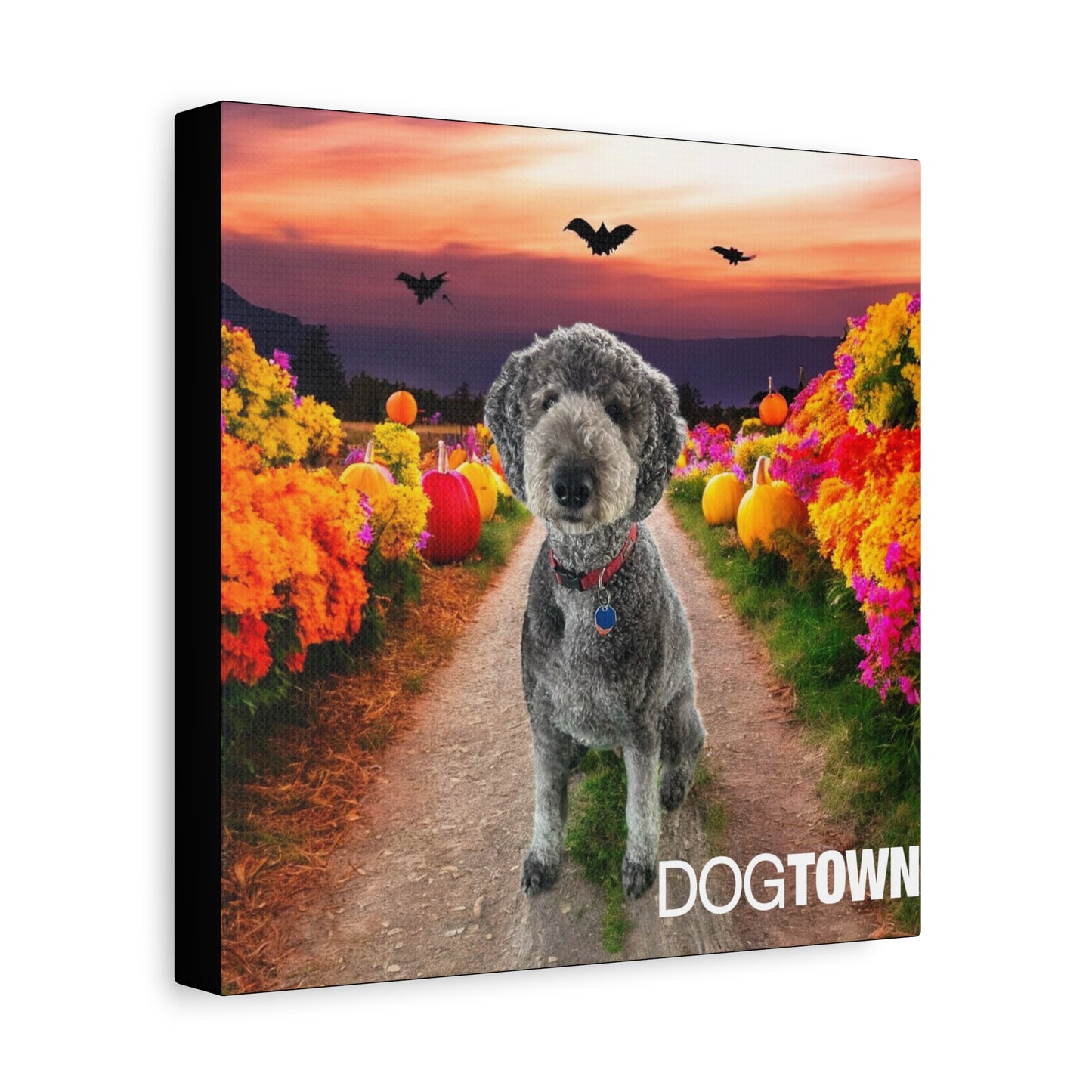 Oz - Halloween Canvas