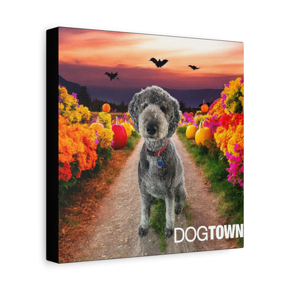 Oz - Halloween Canvas