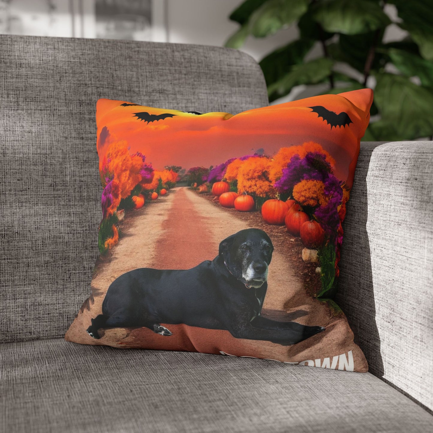 Charlotte - Halloween Pillowcase