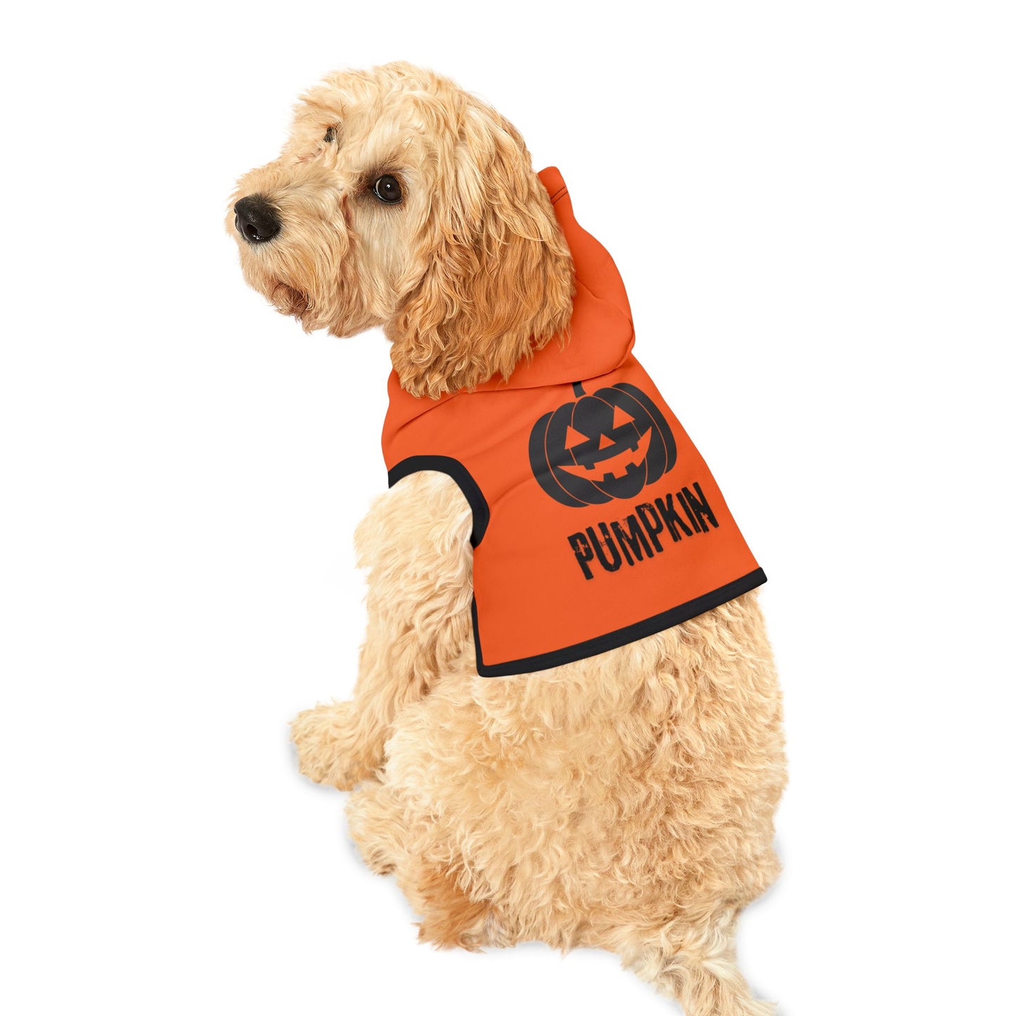 Halloween Pet Hoodie "Pumpkin"