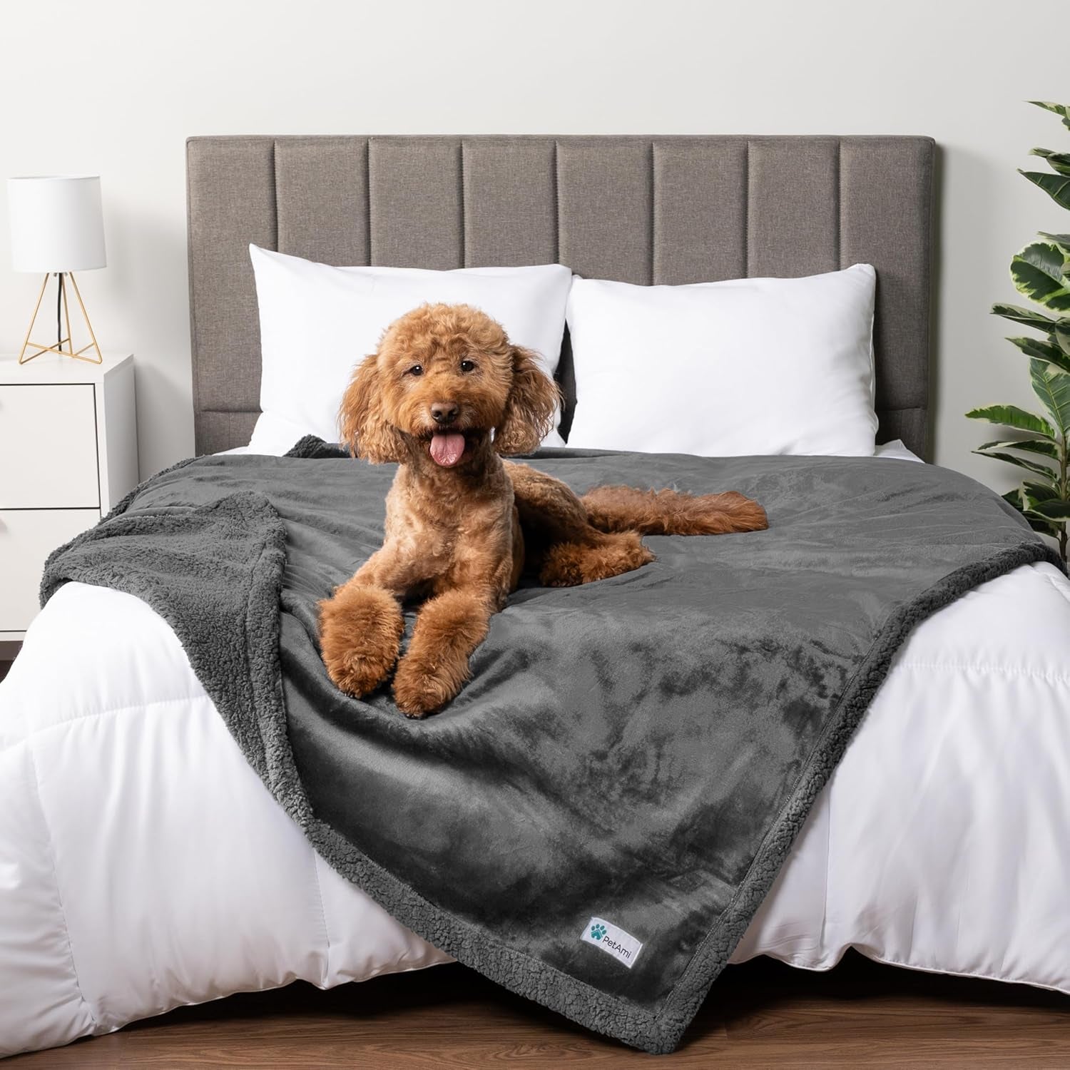 Waterproof Dog XL Blanket 90X90 
