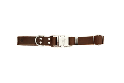 Modern Style Quick-Release Chocolate Leather Dog Collar