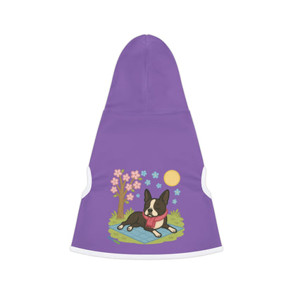 Dog Hoodie Winter (Boston Terrier)