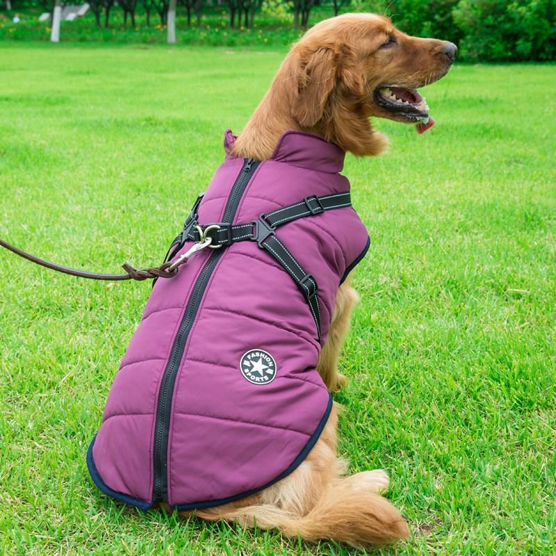 Winter Wonderland Pet Hooded Coat - Stylish And Warm Dog Jacket For Small Breeds
