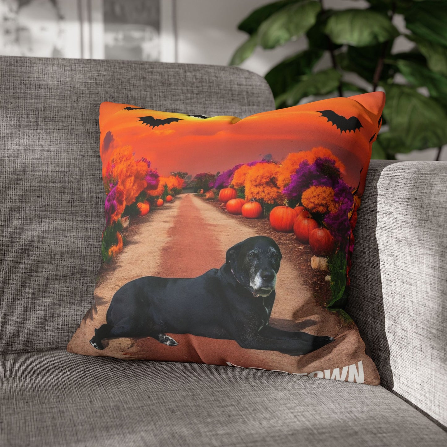 Charlotte - Halloween Pillowcase