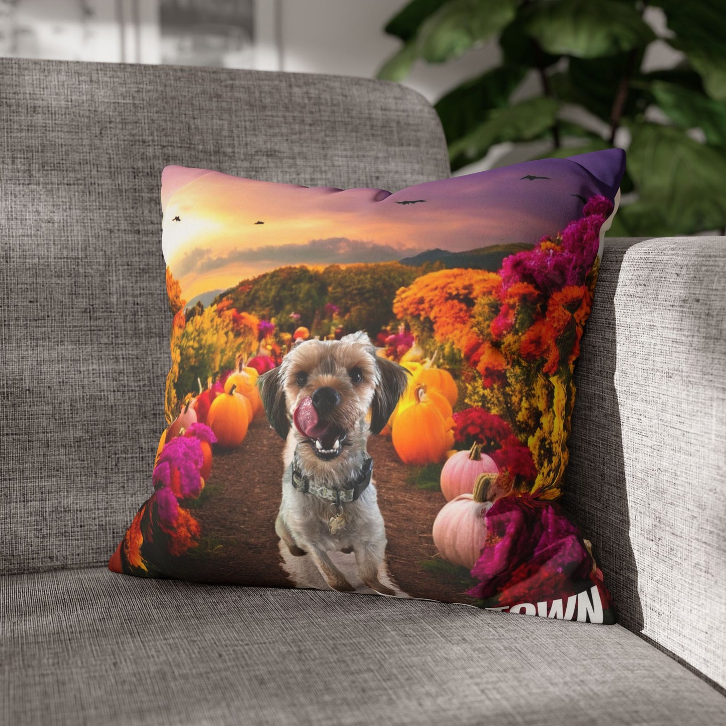 Jasper - Halloween Pillowcase