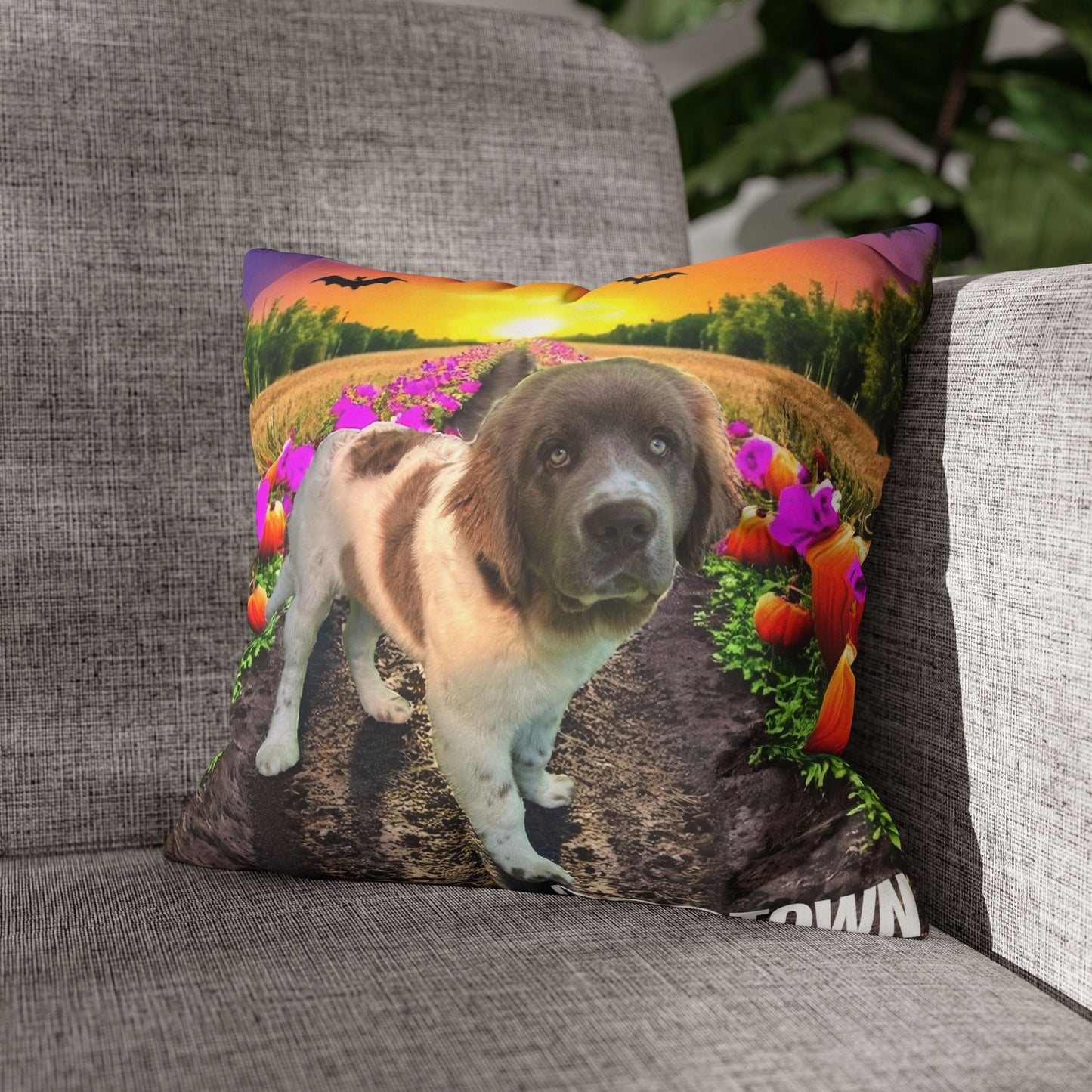 Stella - Halloween Pillowcase