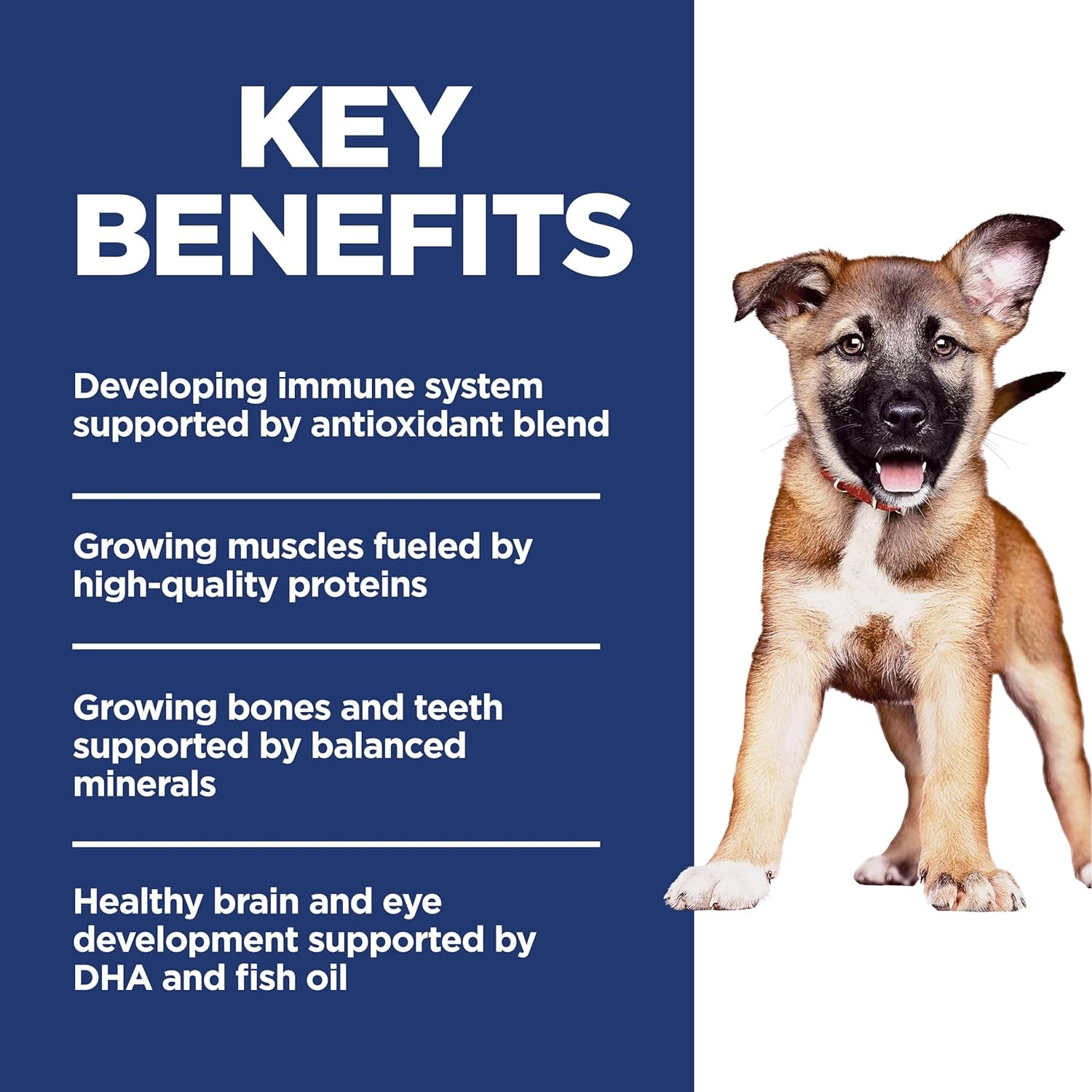 Hills Large Breed Dry Puppy Food Chicken & Brown Rice, 15.5 Lb. Bag