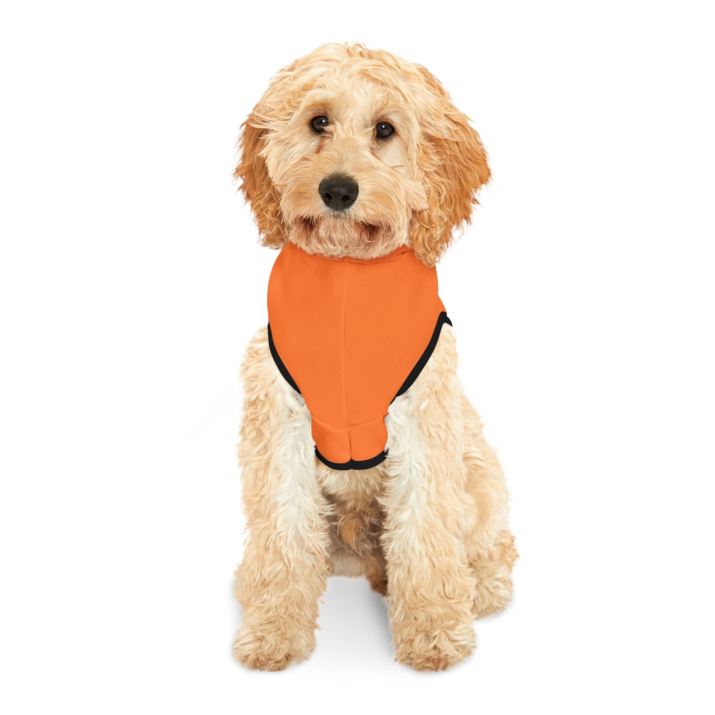 Thanksgiving Pet Hoodie "Little Turkey" - Orange