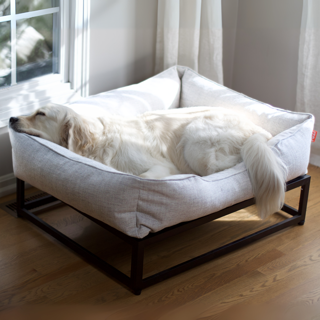 The FÜZI Dog Bed