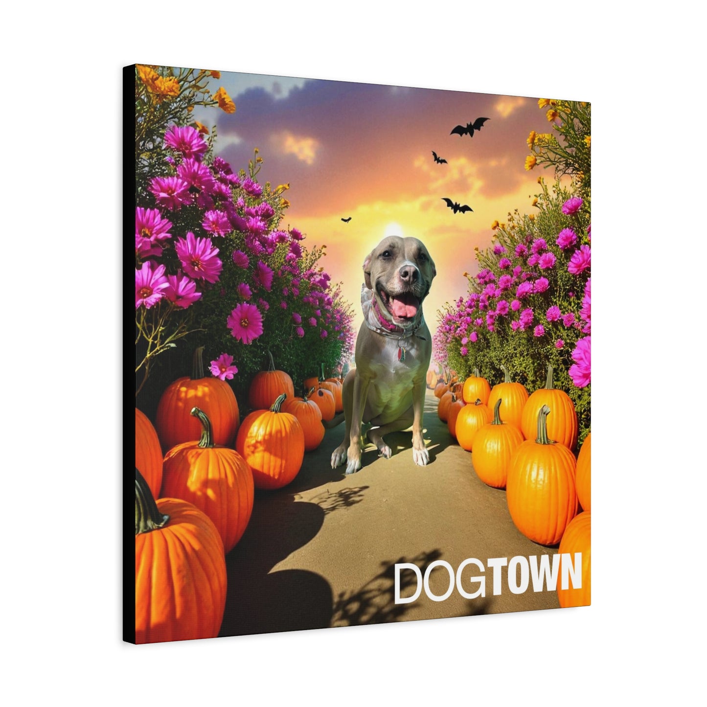 Star - Halloween Canvas