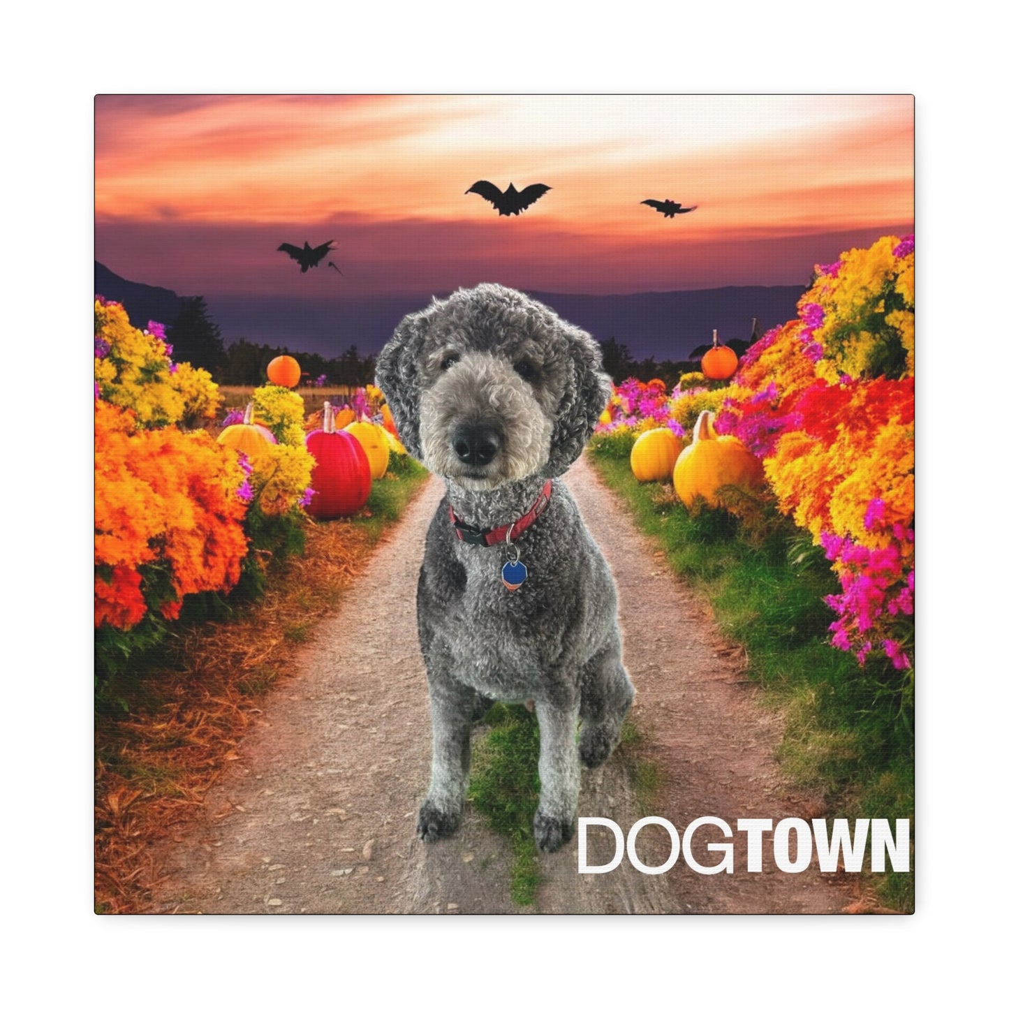 Oz - Halloween Canvas