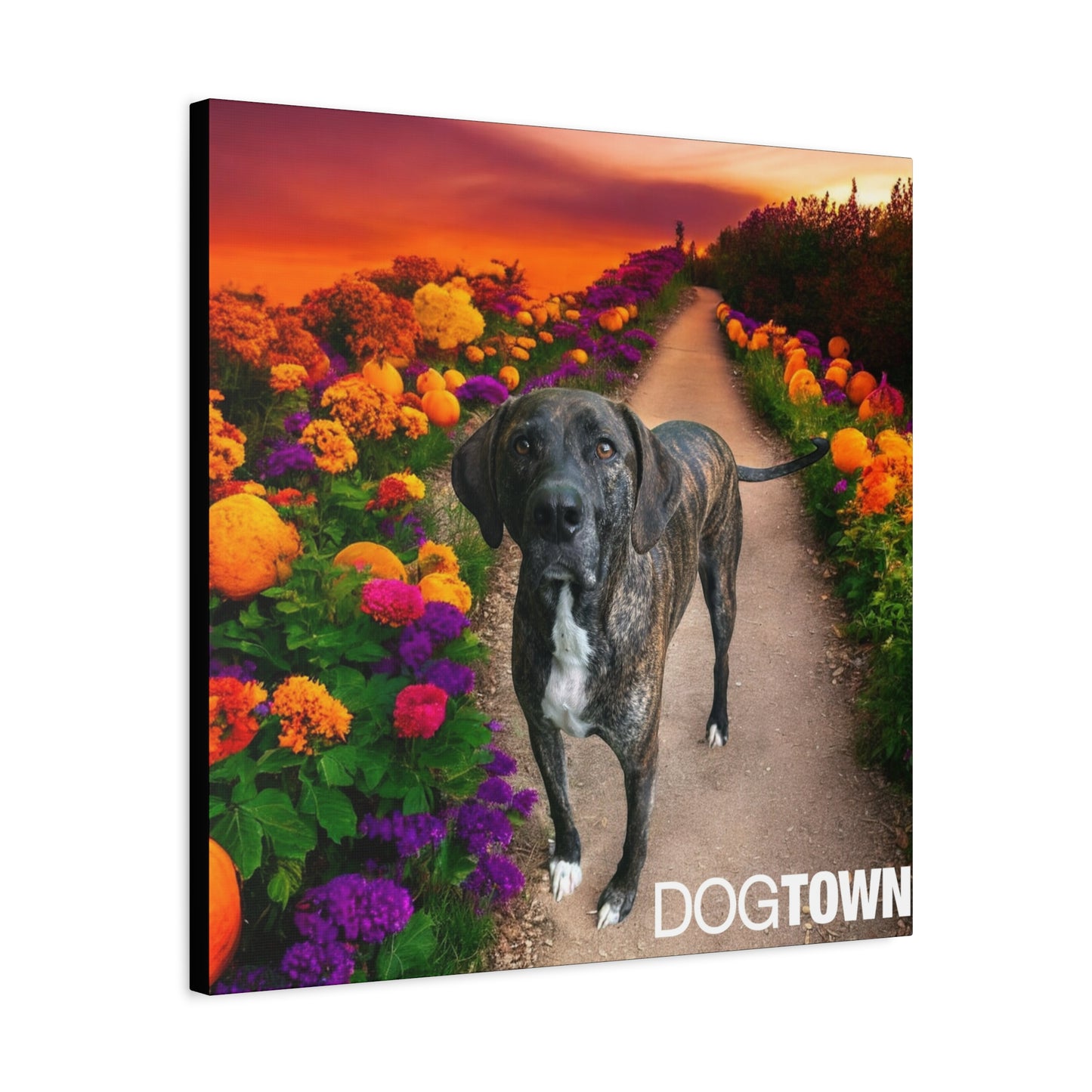 Wynnie - Halloween Canvas