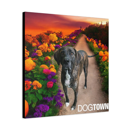 Wynnie - Halloween Canvas